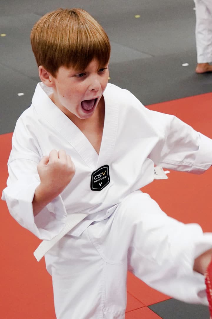 What a Typical Kids Martial Arts Class Looks Like for Ages 7–12 kids-martial-arts-7-12-class-kicking-peachtree-city.jpg