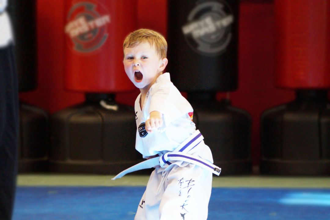 taekwondo-bg -Old Habits Die Hard-Martial Arts Readiness for Kids-Taekwondo Classes for 4-year-olds-taekwondo class for 4 year olds-Taekwondo-taekwondo class for 4 year olds-martial arts-Taekwondo Starting Age-Taekwondo for Kids-Martial Arts Discipline for Kids-Taekwondo for Kids 4-6 yrs -Martial Arts Academy Peachtree City-American Black Belt Academy-Taekwondo and Jiu-Jitsu Peachtree City-Peachtree City Martial Arts school-Martial Arts Blog-Martial Arts Tips-Fitness and Discipline Articles-Contact American Black Belt Academy-Contact - Free Trial Class Taekwondo Jiu-Jitsu-Free Trial Class-Martial Arts Free Class Peachtree City- Brazilian Jiu-Jitsu Peachtree City-Grit Jiu-Jitsu Gym Peachtree City-Safe Jiu-Jitsu Learning- Best Martial Arts School Peachtree City-Peachtree City Martial Arts-Teen and Adult Martial Arts- Martial Arts School -